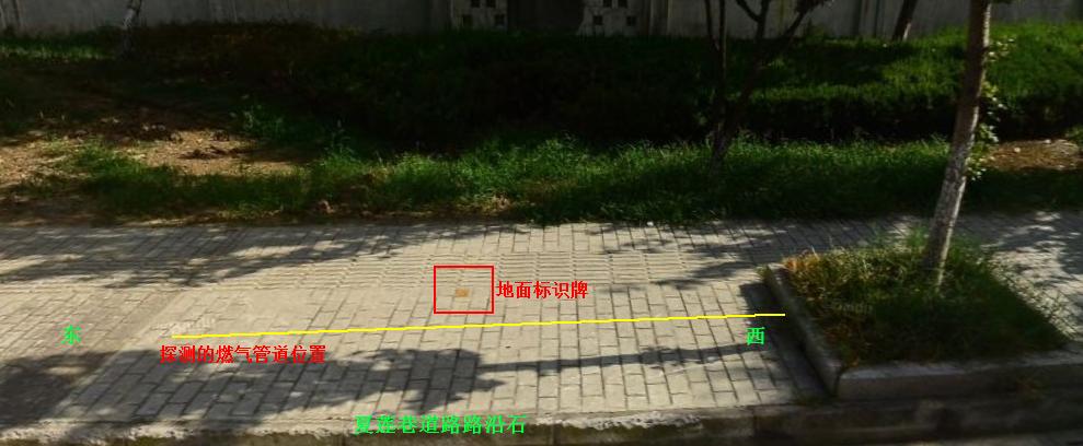 1661481197983786.jpg 圖6.jpg